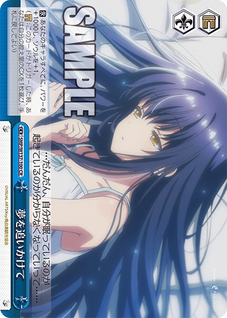 夢を追いかけて 【SMP/W137-100CR】